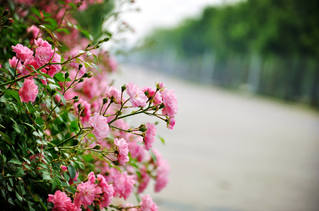 sunbet申搏官方网站硕士研究生“三助”工作...